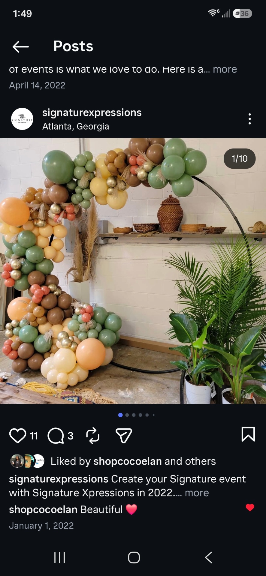 Organic Balloon Garland