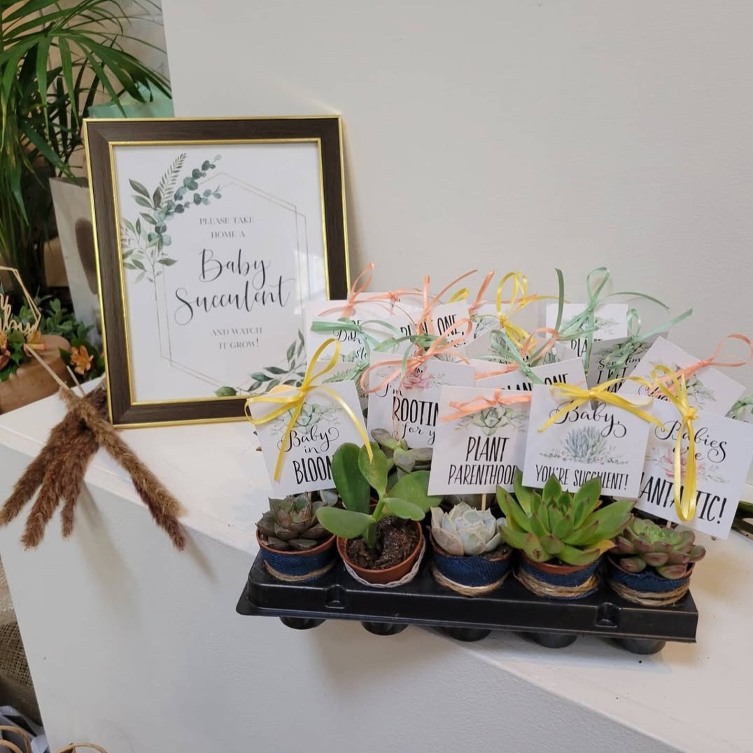 Baby Succulent Favors